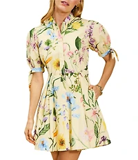 Mestiza New York Brooklyn Blooming Vine Poplin Mandarin Collar Neckline Elbow Length Sleeves A-Line Mini Dress