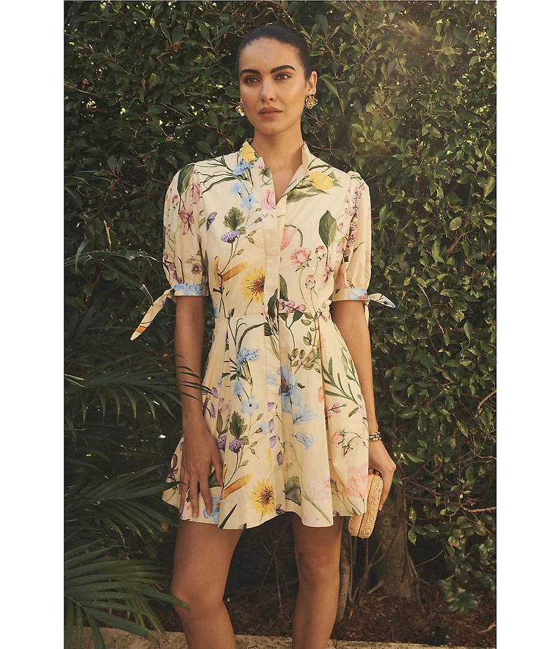 Mestiza New York Brooklyn Blooming Vine Poplin Mandarin Collar Neckline Elbow Length Sleeves A-Line Mini Dress