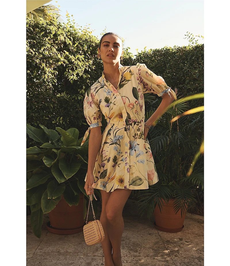 Mestiza New York Brooklyn Blooming Vine Poplin Mandarin Collar Neckline Elbow Length Sleeves A-Line Mini Dress