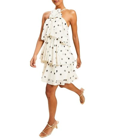 Mestiza New York Keepsake Chiffon Dot Ruffle Mini Dress