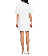 Mestiza New York Linen Blend Elliana Mandarin Collar Puff Sleeve Embroidered Button Front Mini Dress