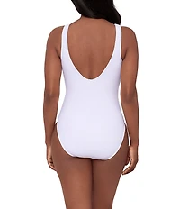 Miraclesuit Solid Razzle Dazzle Swizzle Plunge Neck Underwire One Piece Swimsuit