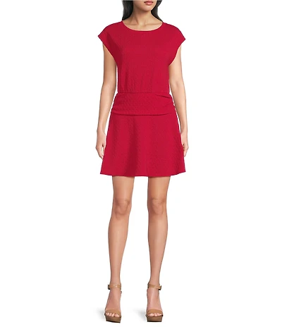 Moa Moa Short Sleeve Shirred Mini Dress