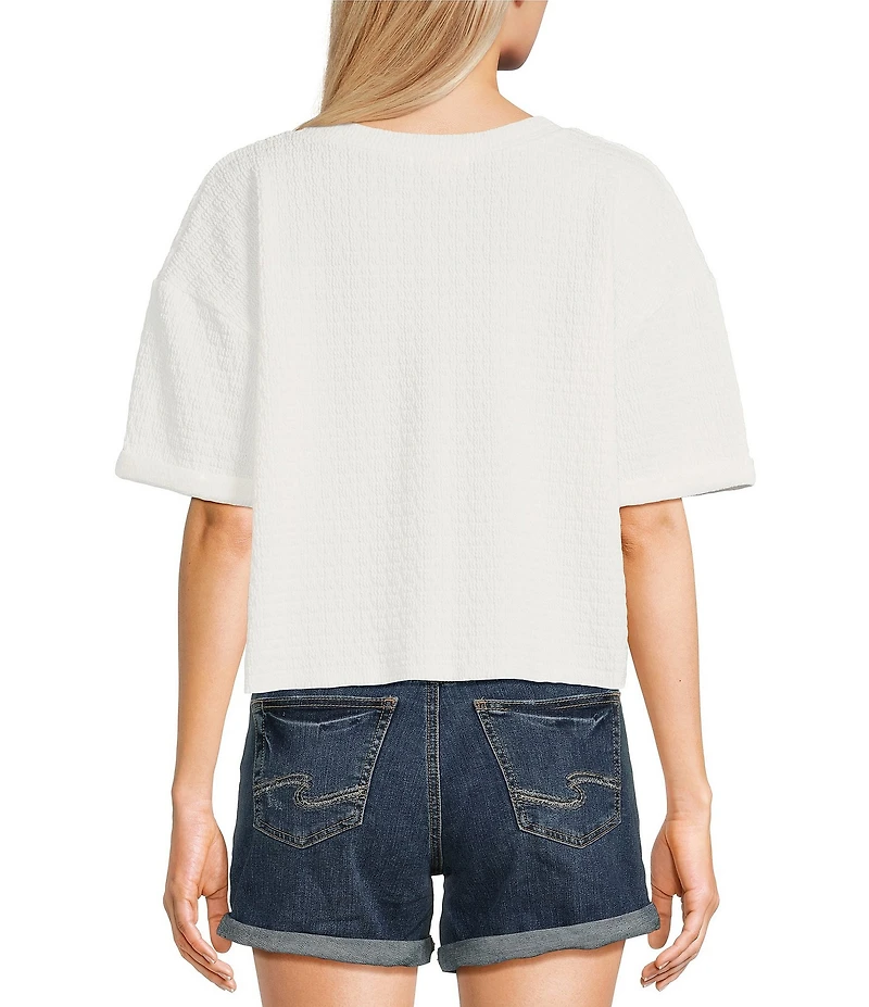 Moa Moa Striped V-Neck Short Sleeve Cropped Top