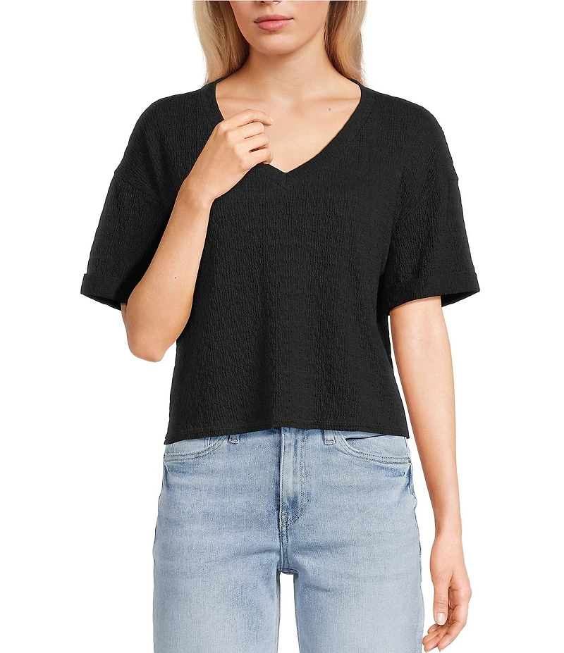 Moa Moa Striped V-Neck Short Sleeve Cropped Top