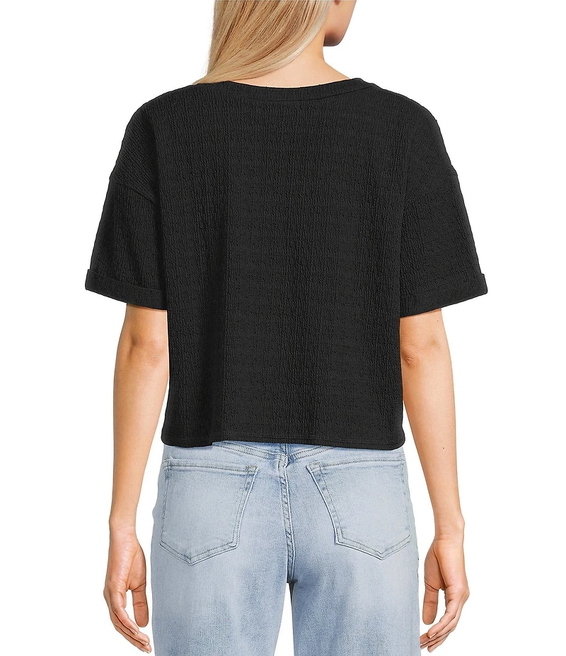 Moa Moa Striped V-Neck Short Sleeve Cropped Top