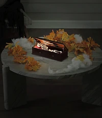 Mr. Halloween Battery-Operated Animated and Musical Skeleton Coffin
