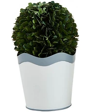 Mud Pie Garden Collection Scalloped Boxwood Topiary Pot