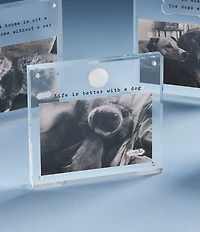 Mud Pie Paw Dog Acrylic Picture Frame, 4x6