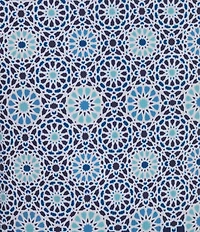 Murano Geometric Border 5#double; Swim Trunks