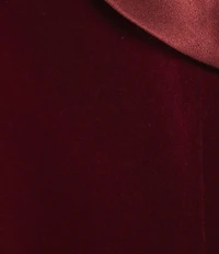 Muse by Marchesa Cosmos Velvet One Shoulder Mini Dress
