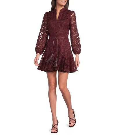 Muse by Marchesa Forrest Embroidered Organza Long Sleeve Belted Dress