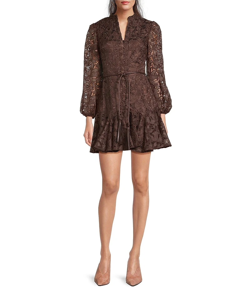 Muse by Marchesa Forrest Embroidered Organza Long Sleeve Belted Dress