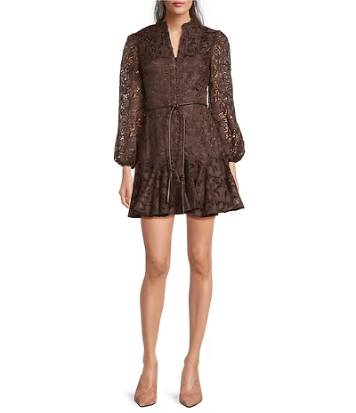 Muse by Marchesa Forrest Embroidered Organza Long Sleeve Belted Dress
