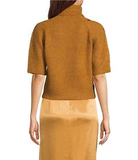 Muse by Marchesa Idra Beaded Short Sleeve Turtleneck Knit Sweater