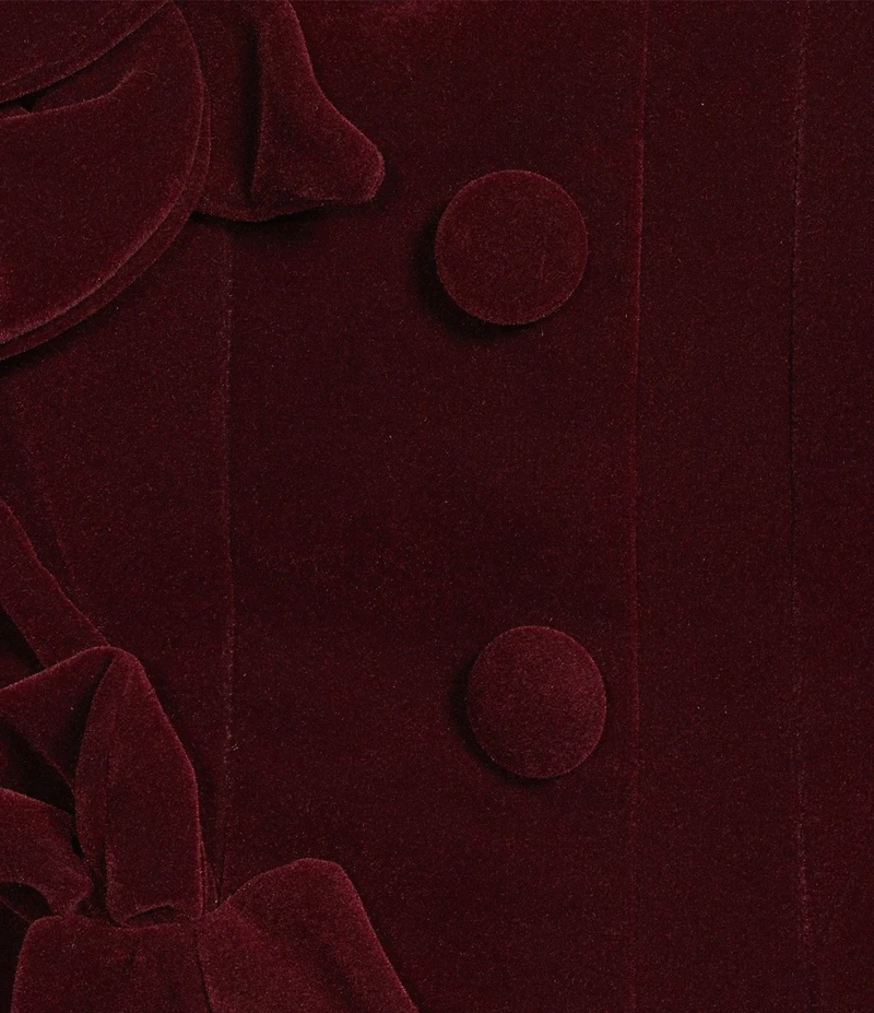 Muse by Marchesa Laurel Velvet Applique Sleeveless Button Up Coordinating Vest