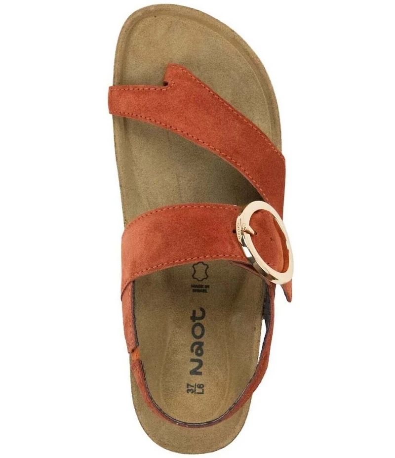 Naot Baltimore Suede Buckled Thong Slingback Sandals