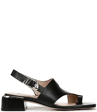 Naturalizer 27 EDIT Audra Leather Toe Loop Block Heel Sandals