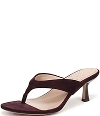 Naturalizer 27 EDIT Tressa Suede Thong Stiletto Dress Sandals
