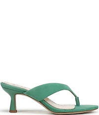 Naturalizer 27 EDIT Tressa Suede Thong Stiletto Dress Sandals