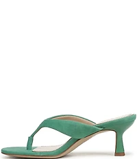 Naturalizer 27 EDIT Tressa Suede Thong Stiletto Dress Sandals