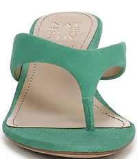 Naturalizer 27 EDIT Tressa Suede Thong Stiletto Dress Sandals