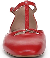 Naturalizer Caresse Leather Mary Jane T-Strap Flats