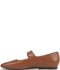 Naturalizer Cosmic Leather Mary Jane Flats