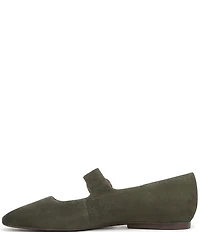 Naturalizer Cosmic Suede Mary Jane Flats