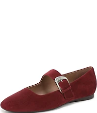 Naturalizer Cosmic Suede Mary Jane Flats