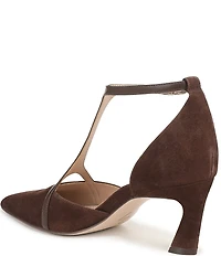 Naturalizer Ezlyn Suede Pointed Toe T-Strap Dress Pumps