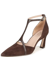 Naturalizer Ezlyn Suede Pointed Toe T-Strap Dress Pumps