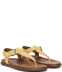 Naturalizer Fab Suede Thong Sandals