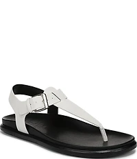 Naturalizer Fab Thong Platform Sandals
