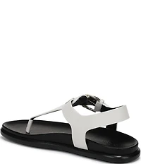 Naturalizer Fab Thong Platform Sandals