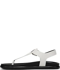 Naturalizer Fab Thong Platform Sandals