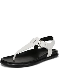 Naturalizer Fab Thong Platform Sandals