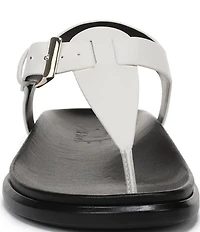 Naturalizer Fab Thong Platform Sandals