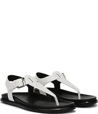 Naturalizer Fab Thong Platform Sandals