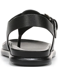 Naturalizer Fab Thong Platform Sandals