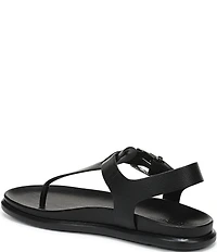 Naturalizer Fab Thong Platform Sandals