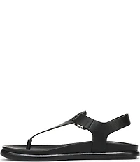 Naturalizer Fab Thong Platform Sandals
