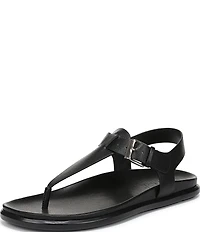 Naturalizer Fab Thong Platform Sandals