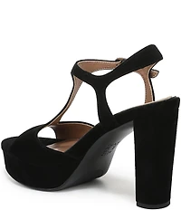 Naturalizer Miller Suede Peep Toe Ankle Strap Platform Dress Pumps