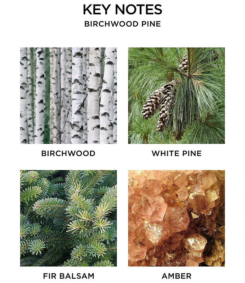 NEST New York Birchwood Pine Wall Diffuser Refill