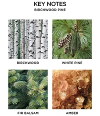 NEST New York Birchwood Pine Wall Diffuser Refill