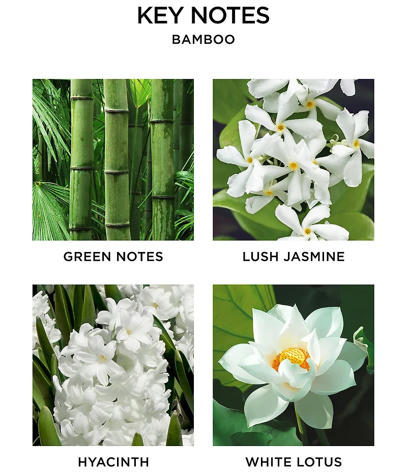 NEST New York Bamboo Liquid Soap