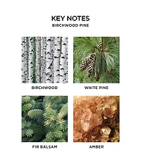 NEST New York Birchwood Reed Diffuser