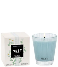 NEST New York Driftwood & Chamomile Classic Candle