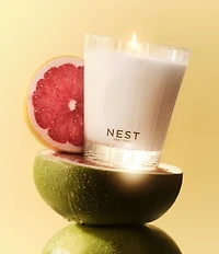 NEST New York Grapefruit Classic Candle, 8.1 oz.